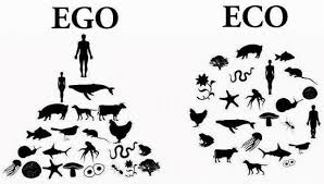 Ökologie vs. Egoismus